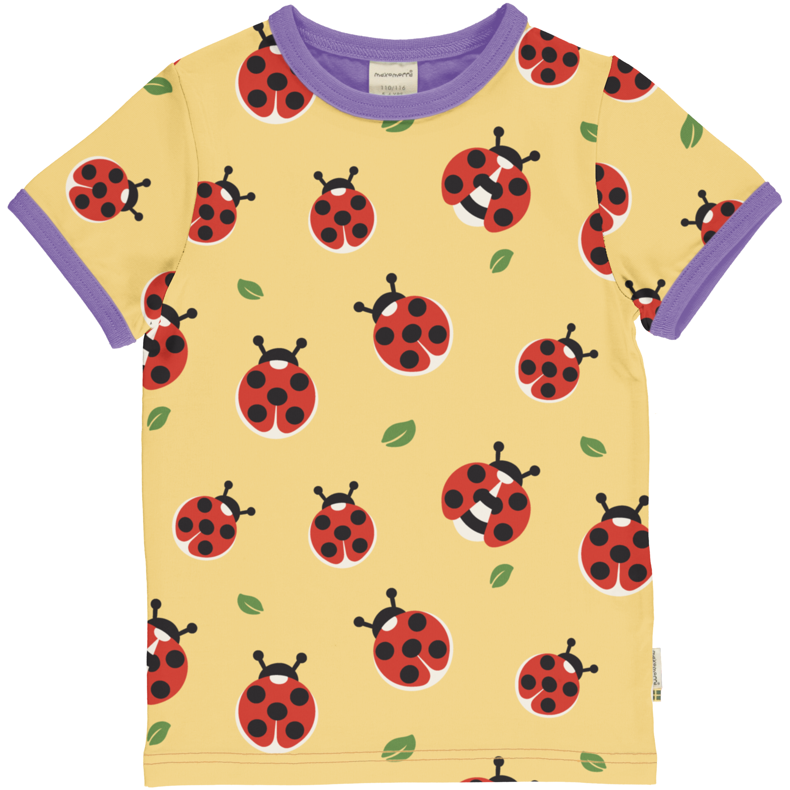 Top SS LADYBUG
